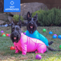 2 pups in pink and turquoise suits