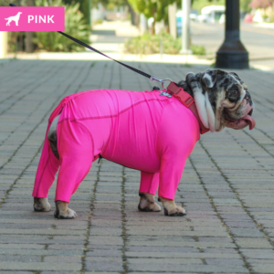 pink lycra bodysuit