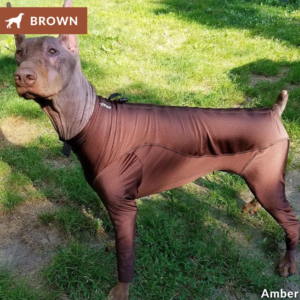 brown lycra bodysuit
