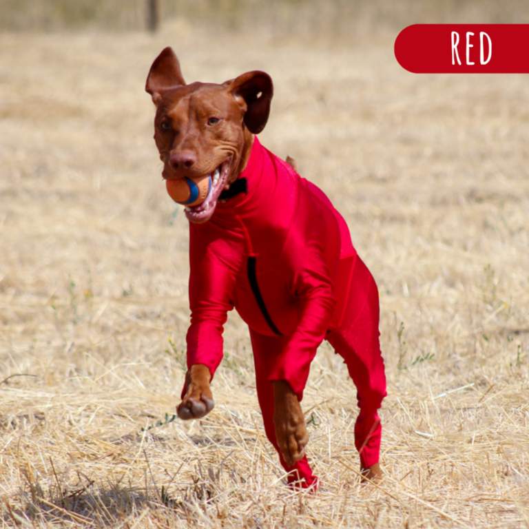 Supra Bodysuit Dog Allergy Solutions K9 Top Coat