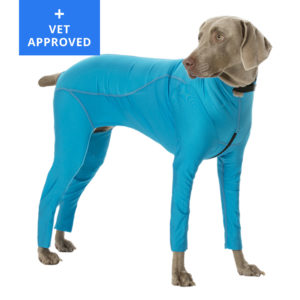 Lycra Bodysuit - Dog Allergy Solutions 