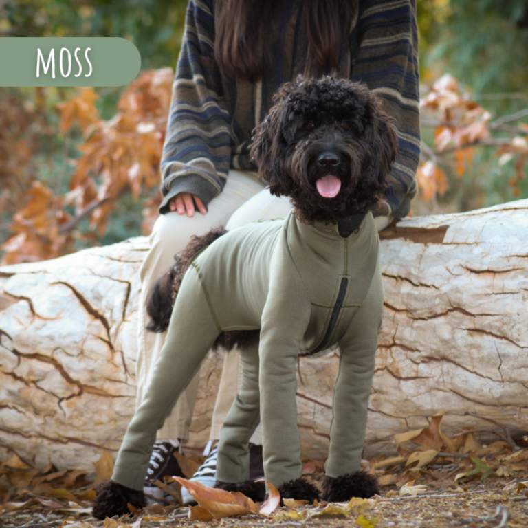 K9TopCoat Home K9 Top Coat