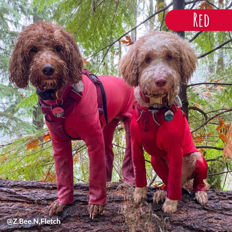 K9TopCoat Home K9 Top Coat