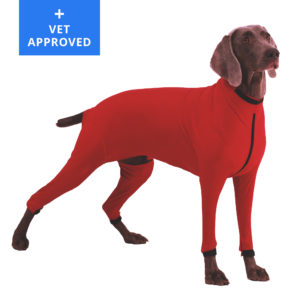 dog fleece