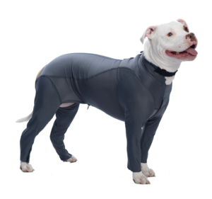 K9 Top Coat | White Pit bull with Grey Dog Onsie