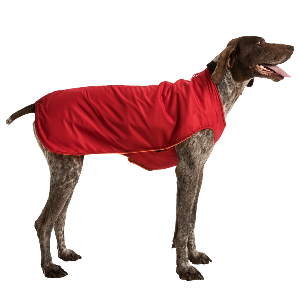 basecoatred K9 Top Coat