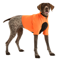 K9 Top Coat | Pointer in orange safety vest