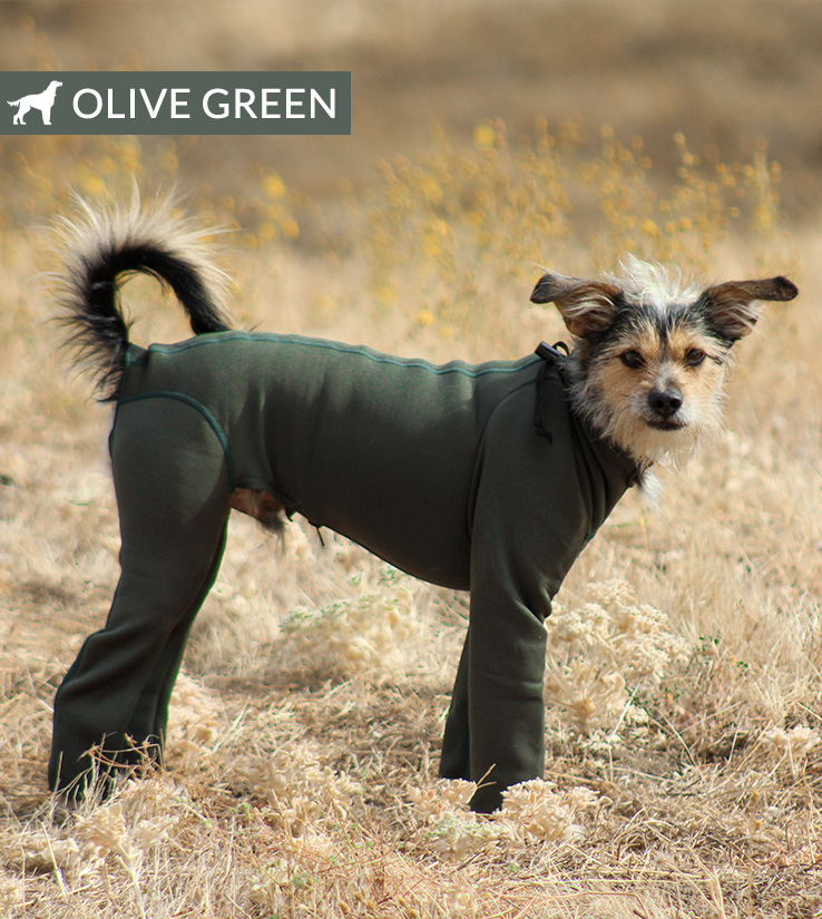 af hero olive
