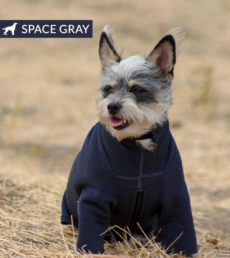 af hero space grat