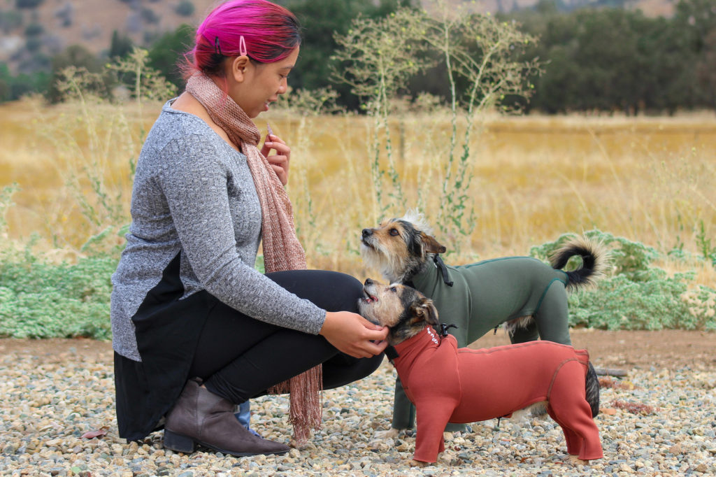 New Suit Guide K9 Top Coat