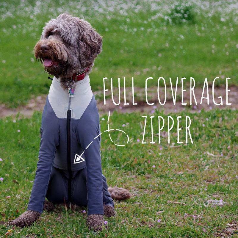 Full cover dog clearance coats