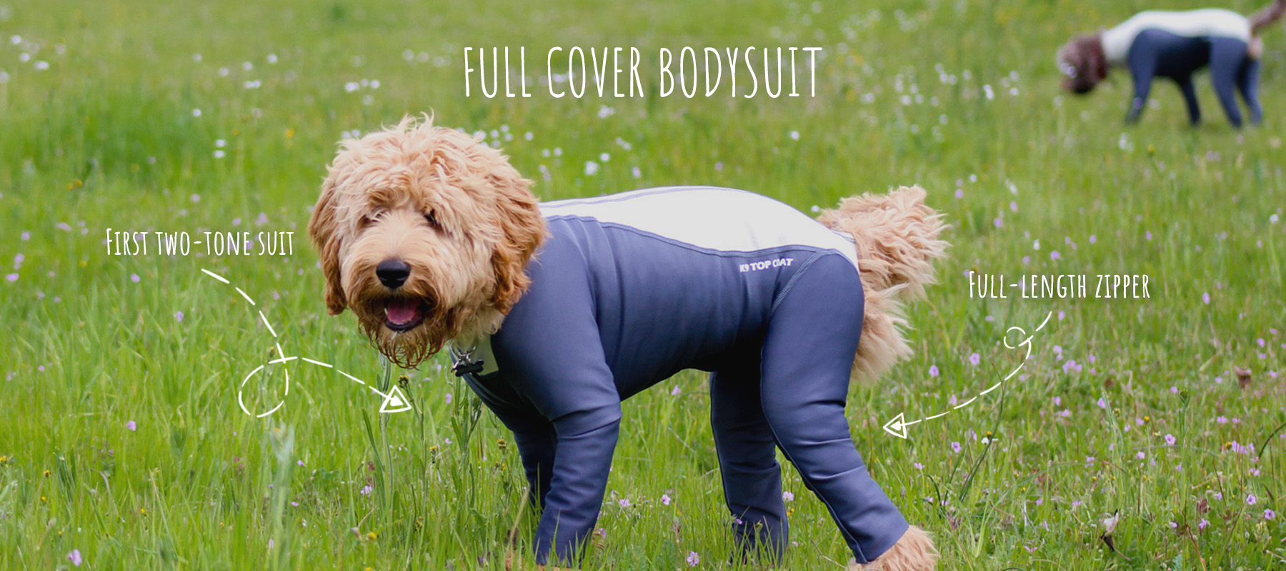 Bodysuit for Large Dogs UV Protection LovinPet Bodysuit for Dogs Easy Wearing 4 Leg Dog Bodysuit Dog Jammies Lightweight Stretchy After The Rain Butterfly Leaves Cerulean Prints Dog Jumpsuit 