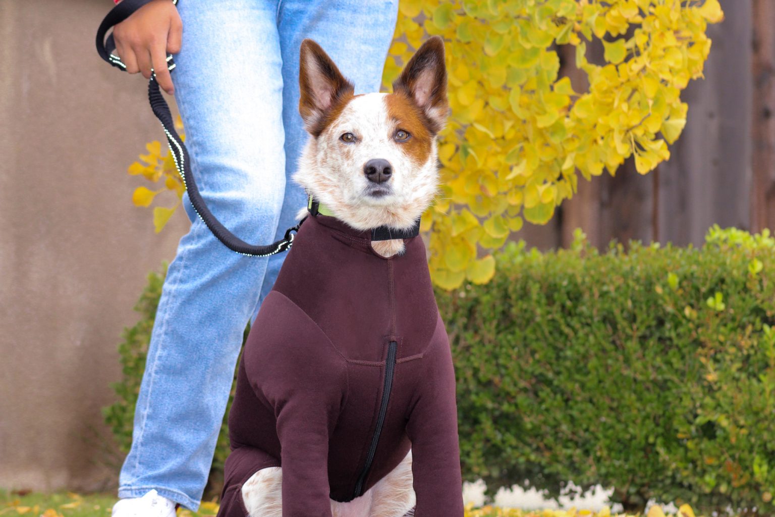 Arctic Fleece Bodysuit K9 Top Coat