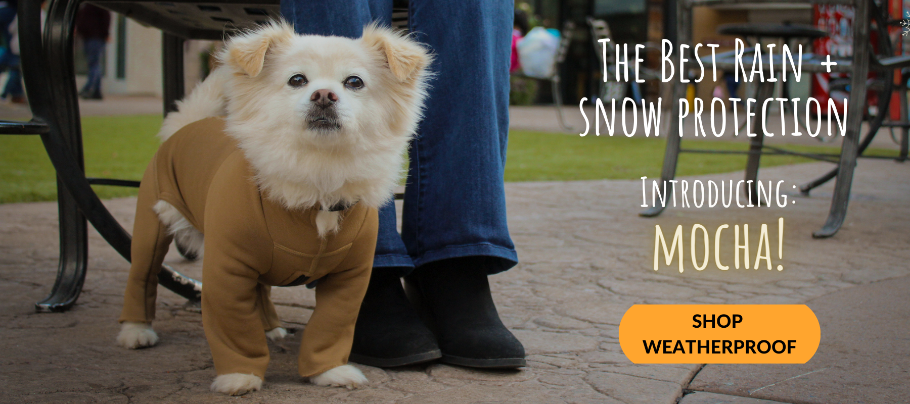 Rain and Snow Protection Bodysuit for Dogs