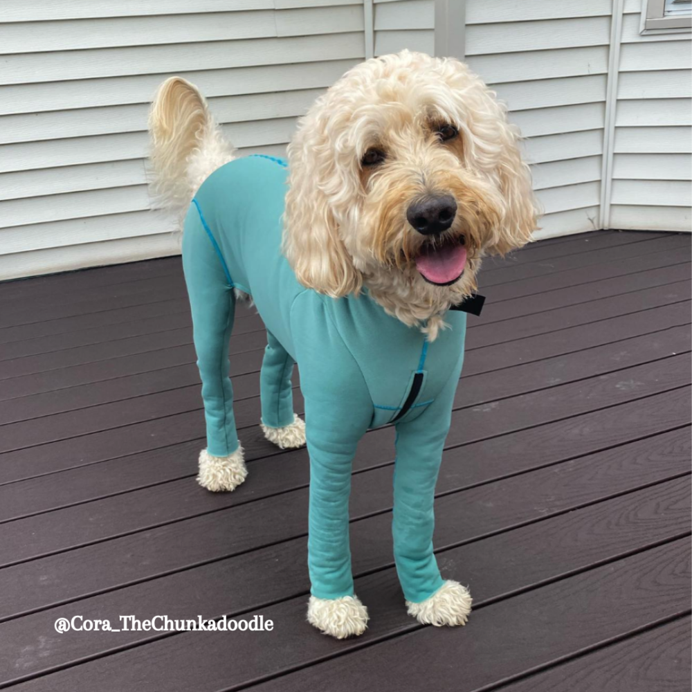 Arctic Fleece Bodysuit K9 Top Coat