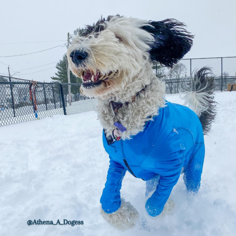 Arctic Fleece Bodysuit K9 Top Coat