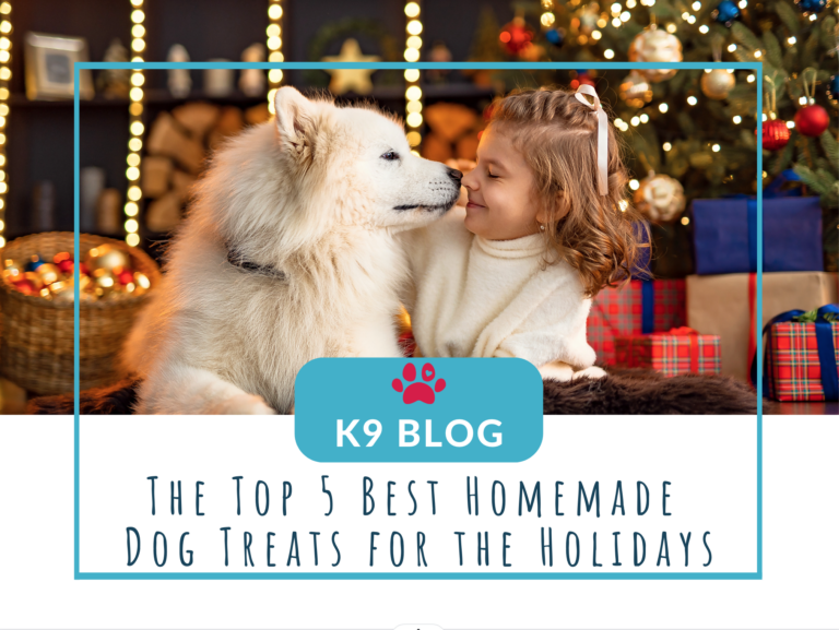 The Top 5 Best Homemade Dog Treats for the Holidays