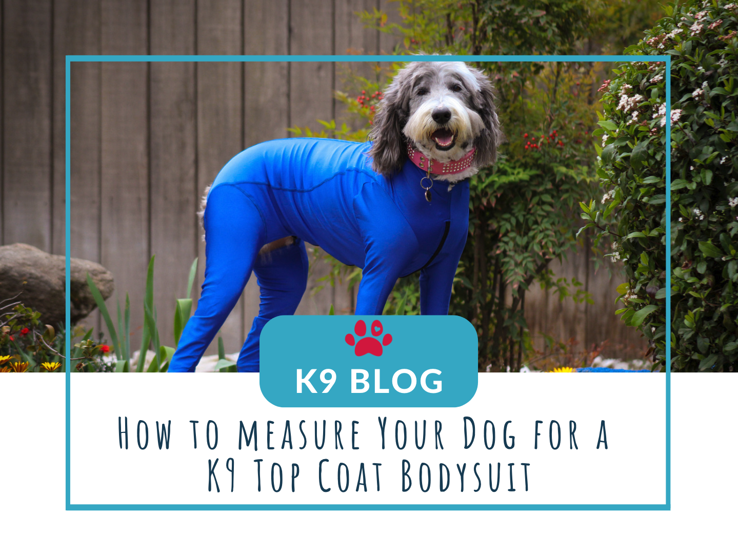 Nearly New Weatherproof Bodysuit - K9 Top Coat