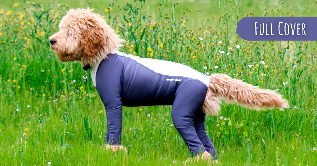 The Ultimate Guide to Measuring Your Dog for a Bodysuit - K9 Top Coat